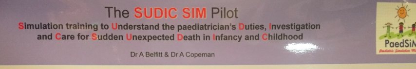 Damian_Roland's tweet photo. One for @rachrwlnds on simulation in Sudden Infant Death
#IPSSW2016 https://t.co/t4yikqTvMA