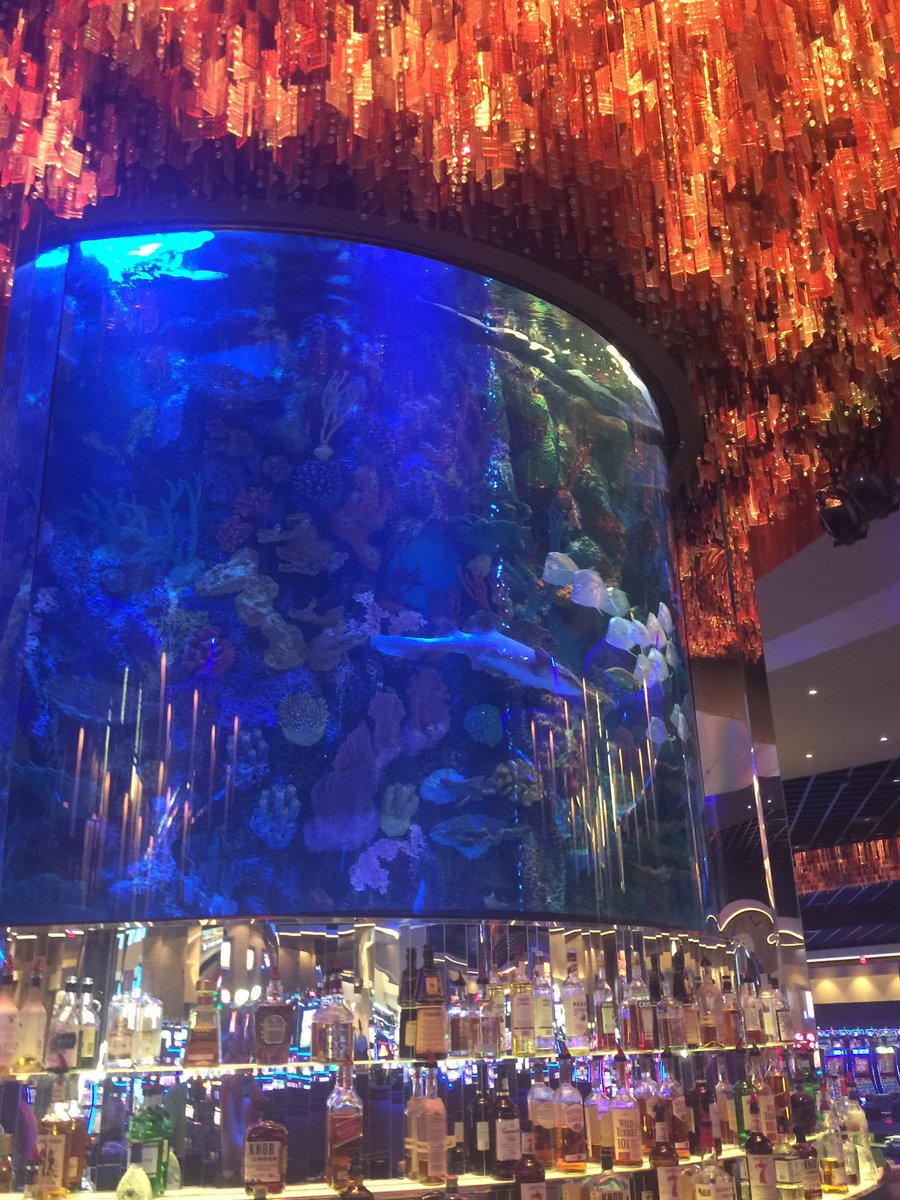 reefscapes's tweet image. #reefscapes work is amazing!!!