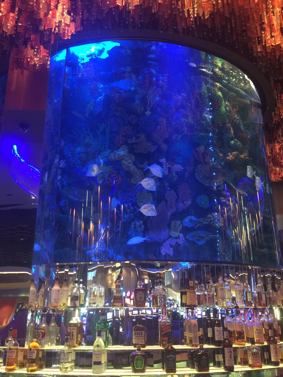 reefscapes's tweet image. #reefscapes work is amazing!!!