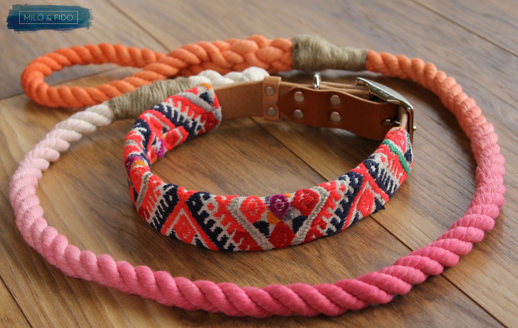 MiloandFido's tweet photo. We 💛 this 'Sunset' collar &amp; lead combo available at https://t.co/VP5Vt3F2z9 #woofwoofwednesday 🌅 #dogsoftwitter https://t.co/Z2Y8lfVYvm