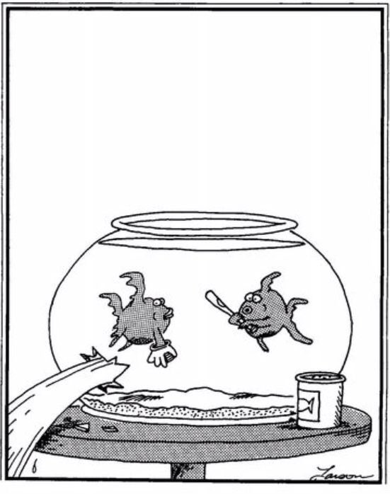 bcoop4real's tweet image. 