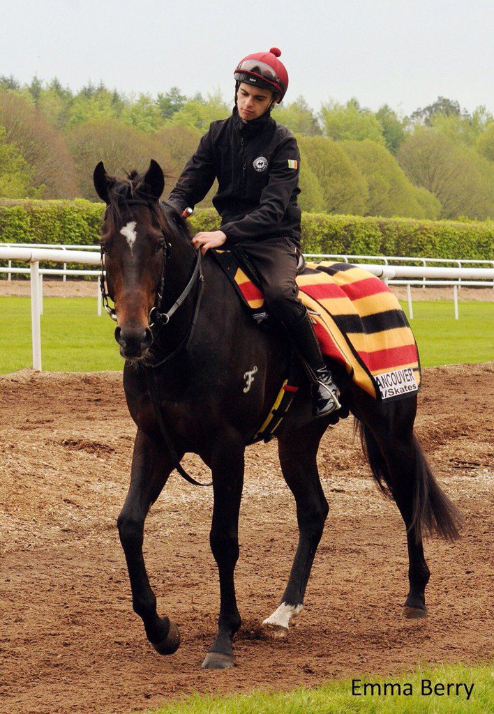 CoolmoreAus's tweet photo. A must see video - https://t.co/cQhrYaKt5S Aidan O'Brien gives an update on champion Vancouver from Ballydoyle https://t.co/bCzlMSdUcT