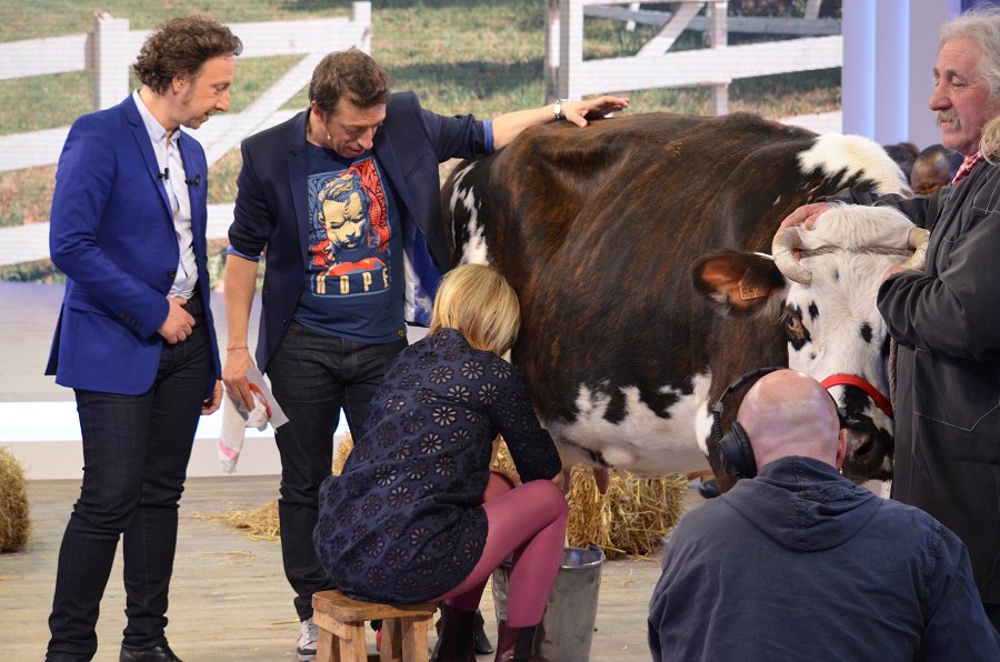 ccvb's tweet image. Un petit tour à la ferme ! :) #CCVB @bernstephane @chantalladesouO