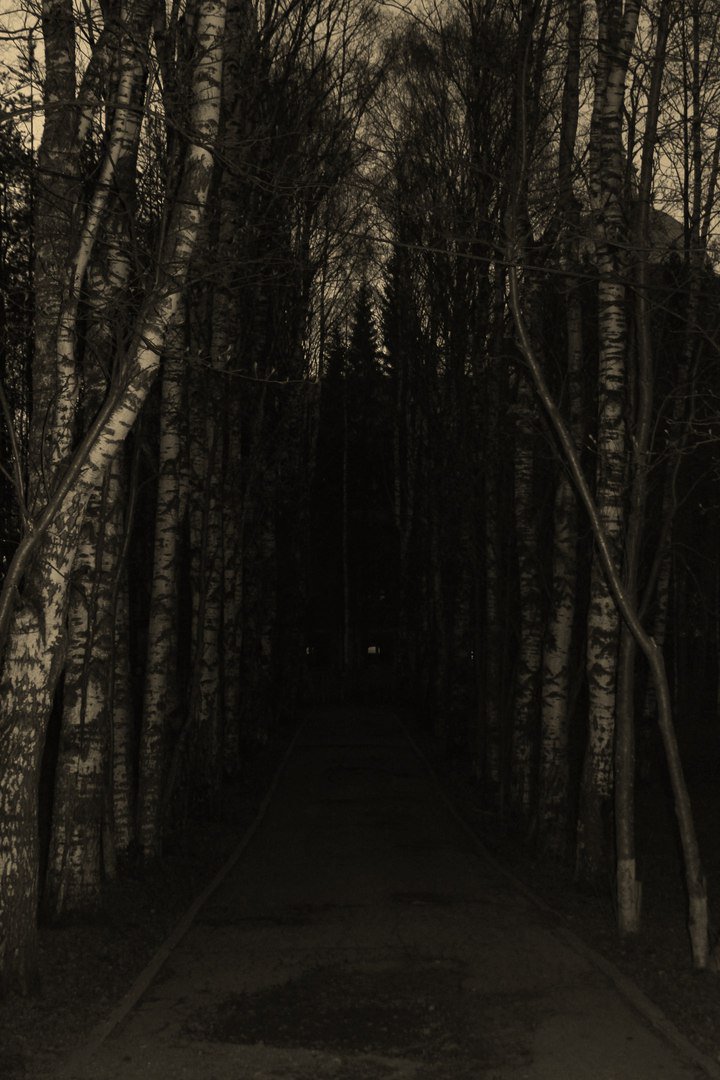 nasty__nst's tweet photo. #gothic #dark #me #walk #dollyeyes #dollyface #darkmakeup #cross #park https://t.co/KpnPqcpDoU