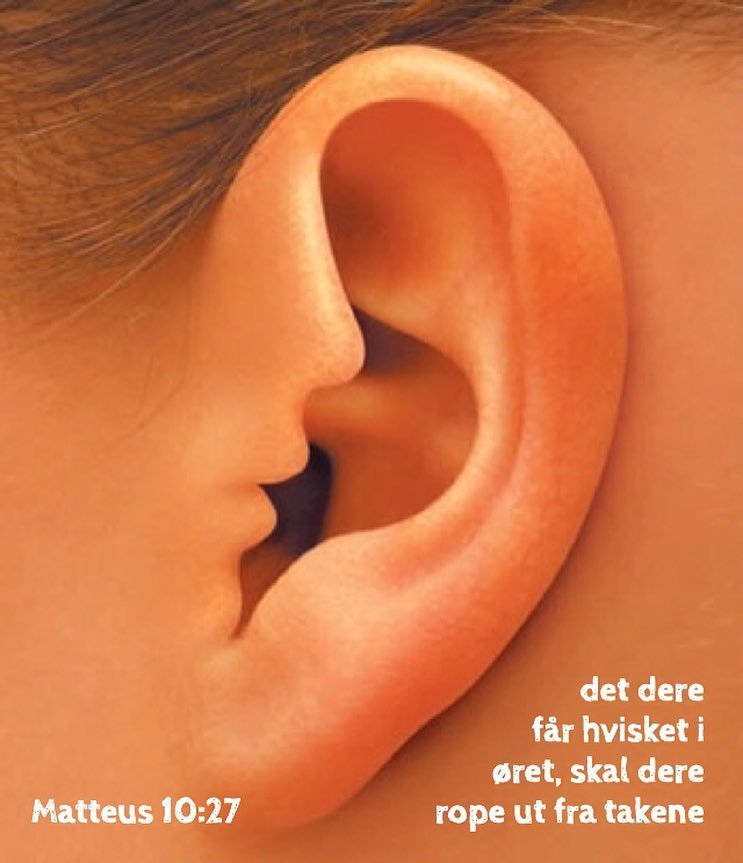 det dere får hvisket i øret, skal dere rope ut fra takene.
Matteus 10:27 ift.tt/24LEXSl