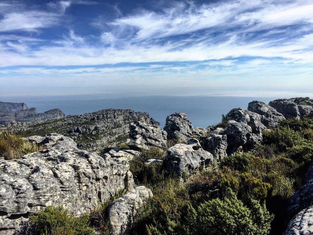 girlsLOVEtravel's tweet photo. The view from the top of Table Mountain🙏🏻. #TakeAHike #TableMountain #SouthAfrica #CapeTown #SheGoesGlobal #cptmx #… https://t.co/wKd4cTqNp9