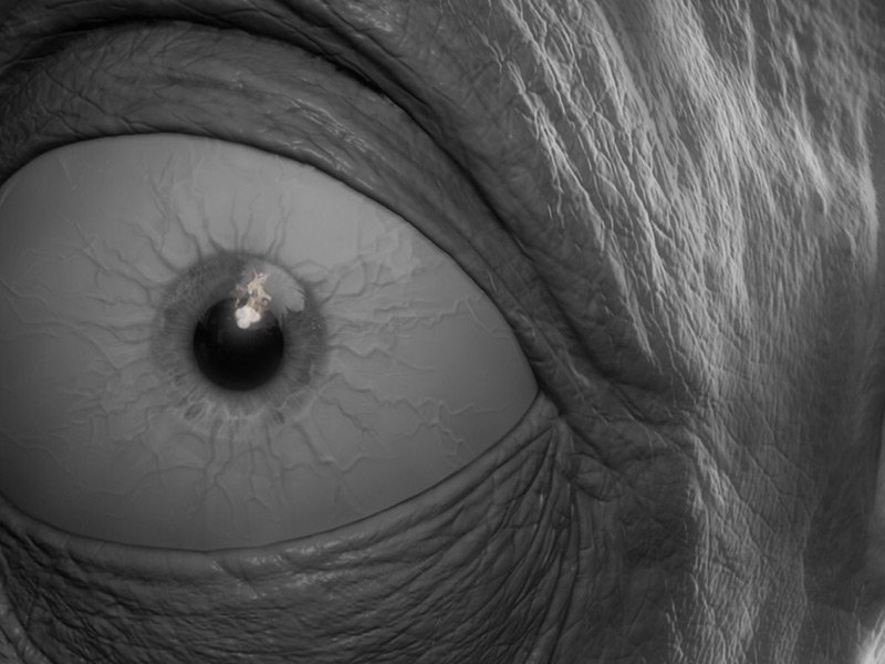 OddworldInc tweet picture