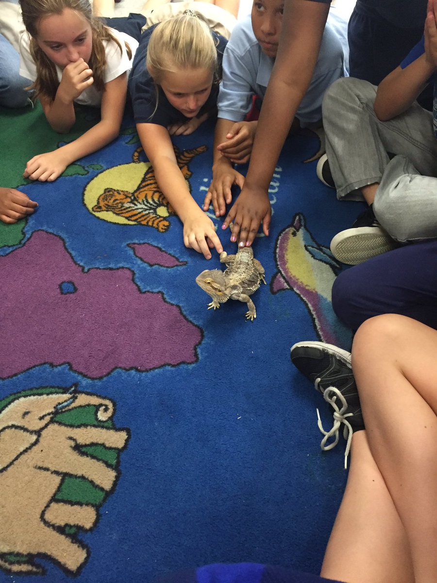 mcarldscs's tweet photo. Learning about adaptations with @KatieGaspierik and Puff! https://t.co/LmQR0cxXdR