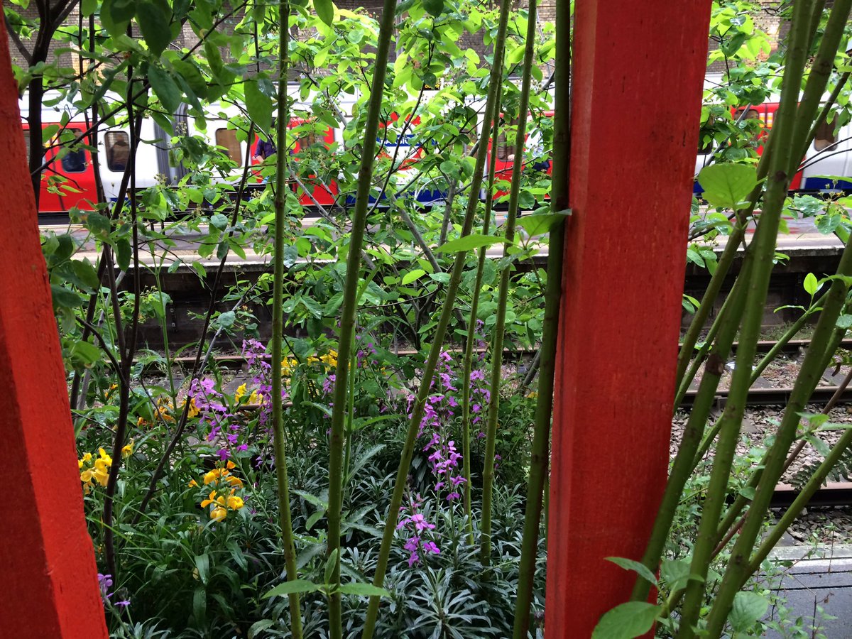 MissBTakesaWalk's tweet photo. Garden theme 2/2 @FCityGardens for @TfL Barbican Station Pop Up #OGSW2016 https://t.co/oaP6Ufj5tt