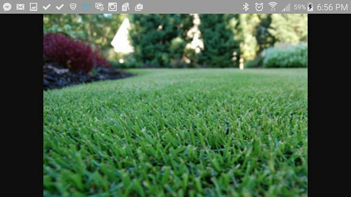 Perfection!Looks like it's been cut with sisors, this is what sharp blades accomplish,  let us know if we can help!!