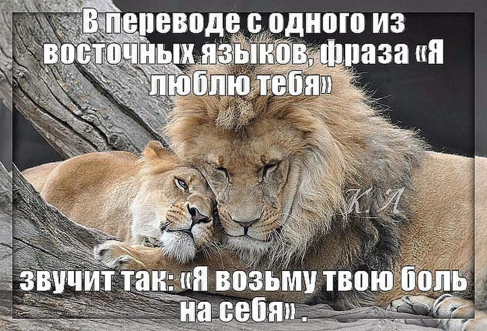 Твою боль я возьму себе