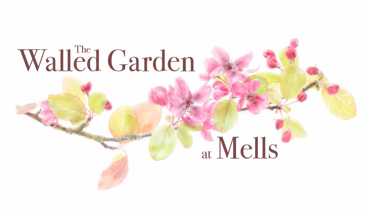 bathmarketing's tweet photo. What a beautiful new logo for our new client @gardenatmells. Amazing photography by @carolinetrue https://t.co/RMWK18fiJA