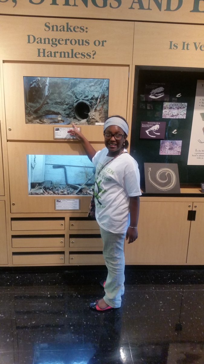 STEMelliott's tweet photo. @WhitehavenSTEM students enjoying a STEM filled day at #Lichterman Nature Center @SCSK12Unified #STEM https://t.co/IrF5PlfaVA
