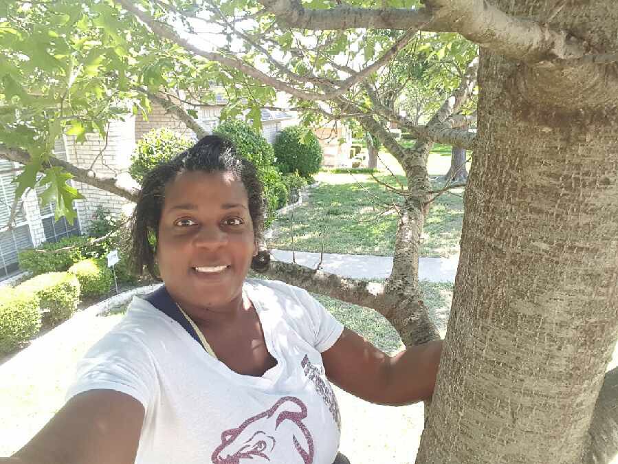 _YungJosh's tweet photo. I sent my mom my grades and she sent me a pic of her in a tree. Caption was "I see you climbing your mountains." https://t.co/R78Je3iuJl