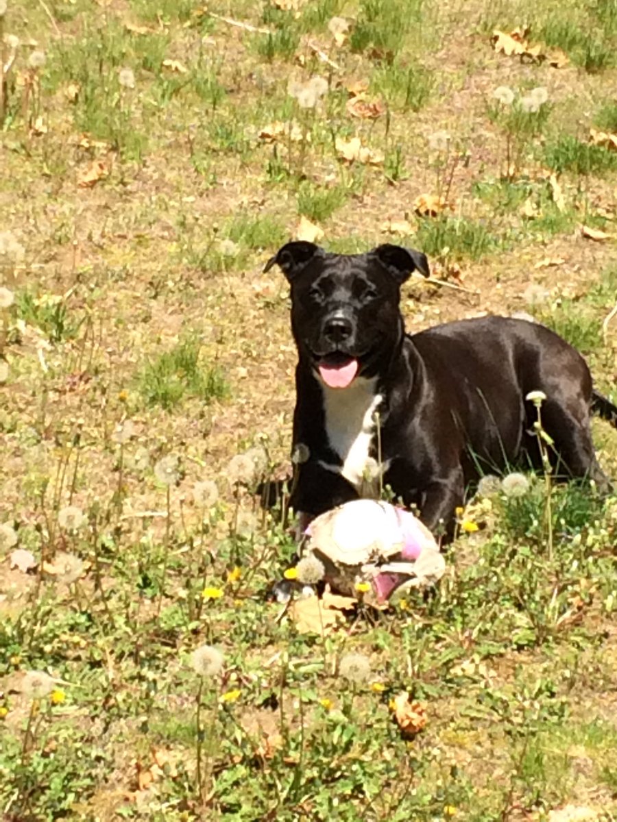 maggiemay1024's tweet photo. Enjoying the day. #lovethesun https://t.co/SE9fdwCwMz