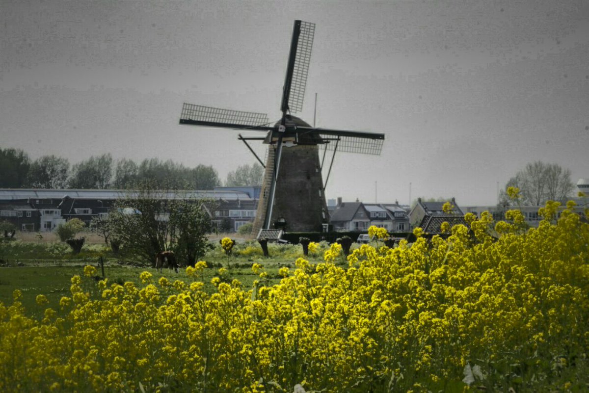 Kompas Travel tweet media