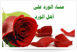 @D6ySvYxDYz9ahg2 <a href="/laydinoor/">Noura</a> <a href="/SalamSaloma/">Salam saloma</a> @amadicellmega2 @zera19763 <a href="/toubaracha/">#جزاءسطينيةRnooshmam</a> <a href="/SafiaFrieh/">نانا</a>  <a href="/RubaNofaL2/">زهرة البنفسج</a> @DHeQ9VShp