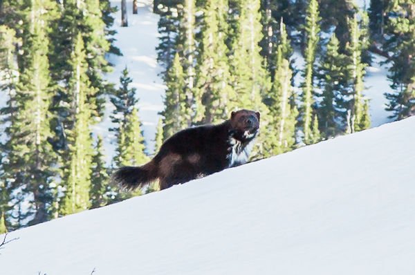 View image on Twitter View image on Twitter