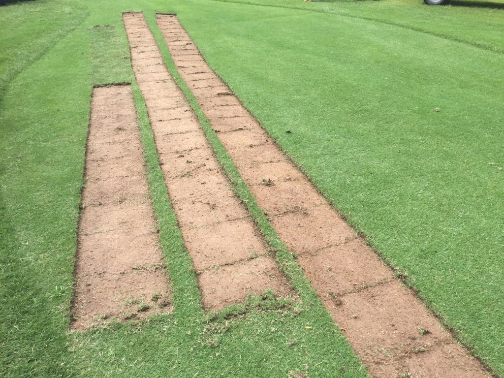 lipouts's tweet photo. We are hard at it today.  #sod #instantturf #golf https://t.co/pG09W6mtsH