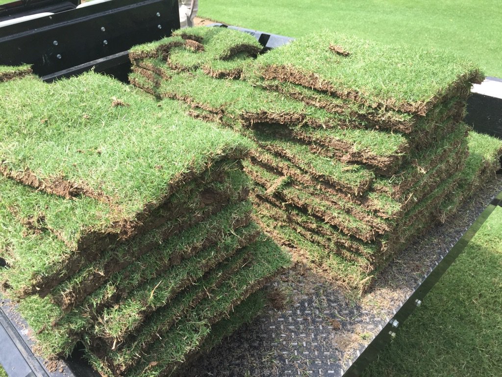 lipouts's tweet photo. We are hard at it today.  #sod #instantturf #golf https://t.co/pG09W6mtsH