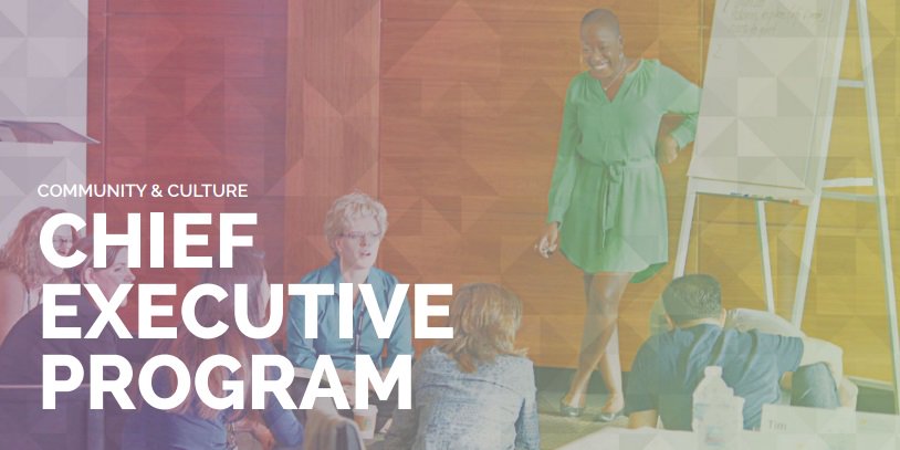 Make an impact in your community &amp; field! Apply for <a href="/ArtStrategies/">NAS</a>' Chief Executive Program: ow.ly/1Zcl3005vIl