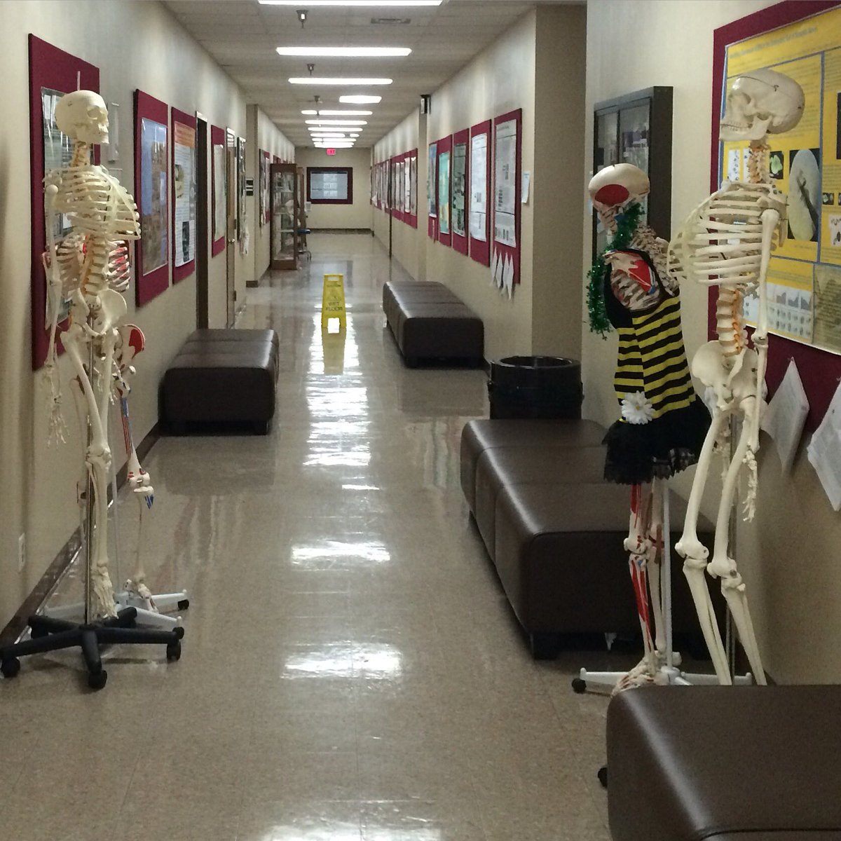 SHSU_COHS's tweet photo. The end of May at #SHSU is always down to the bare bones. #KatSnaps (Lee Drain Bldg) https://t.co/JX27c7EbSa