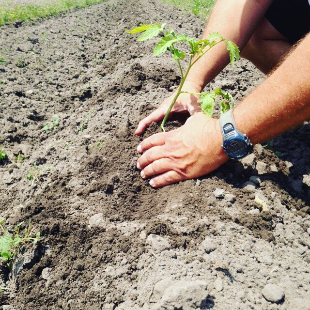 Kirkman Farm tweet media