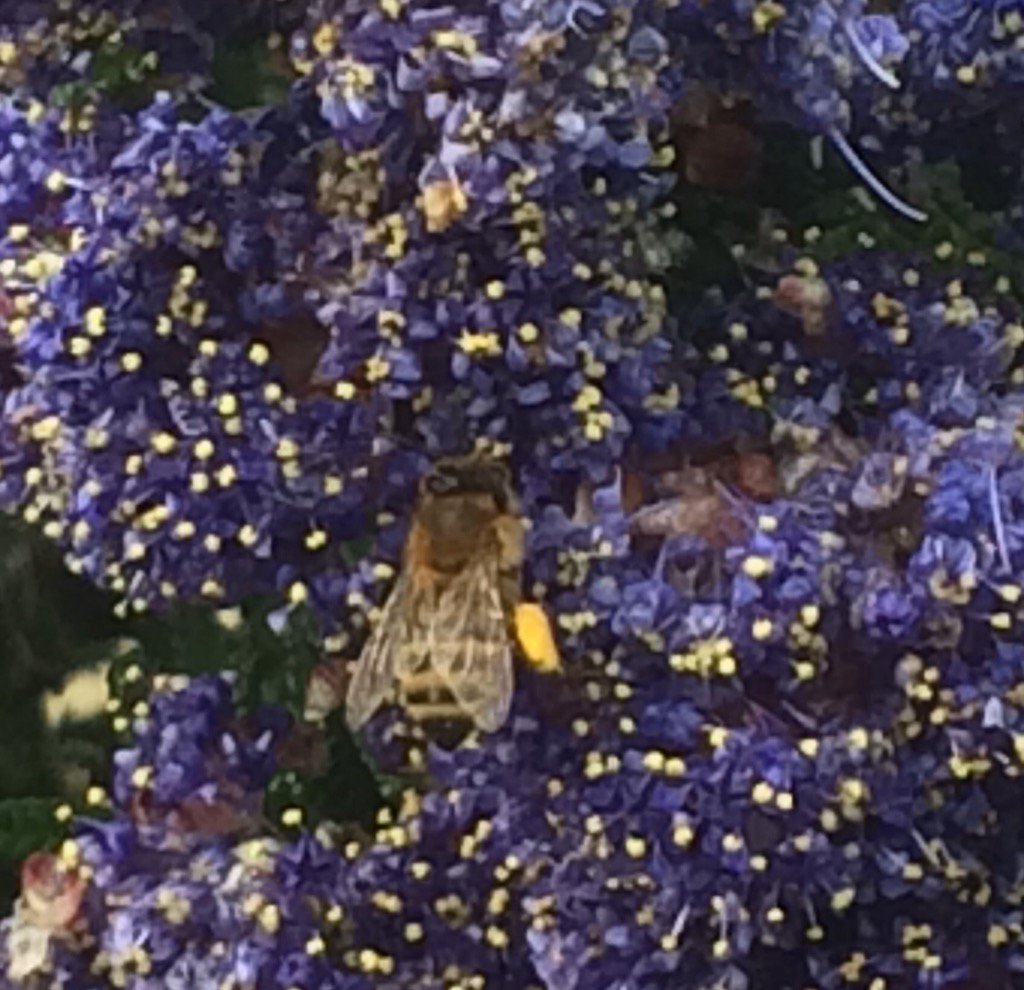 The Coach House tweet media