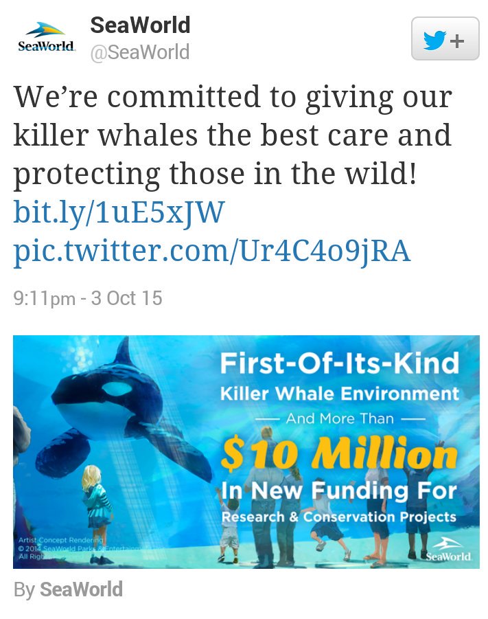 GuckyTheGerbil's tweet photo. Old Pool plus Deco.
Why don't get the enslaved Orcas the promised "habitat" @SeaWorld?
#BlueWorldProject = FairyTale
https://t.co/VOwyT9r2C2