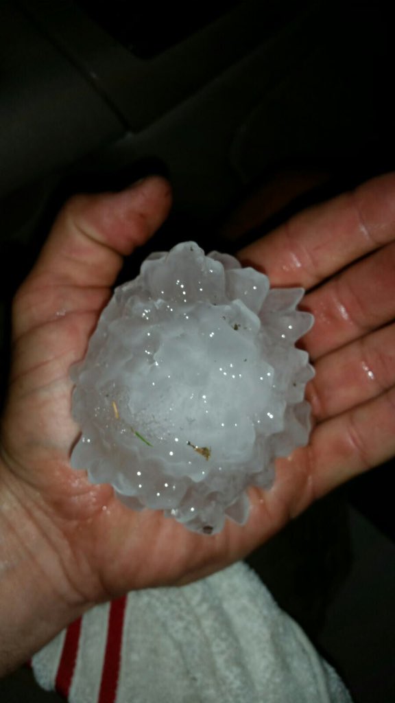 View image on Twitter