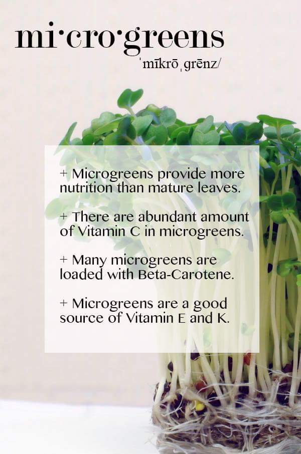 Besides their cute appearance, fresh tastiness &amp; versatility, they are ...
 #pfw #phillyfoodworks #wednesdaywisdom