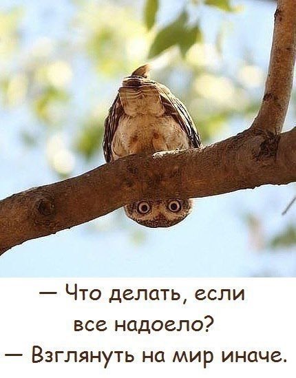 ksumir11's tweet photo. Этому не просто научиться,но очень в жизни пригодится! https://t.co/2RwXSkrJGH