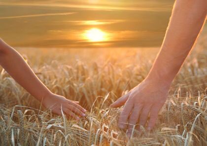 HandsInWheat's tweet image. Man, this is good:
1. Sunset ✅
2. Caress ✅
3. Wheat ✅
4. Hands ✅

If you dream hard enough, you CAN have it all.