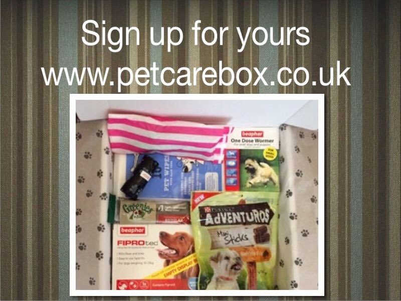 petcarebox.co.uk