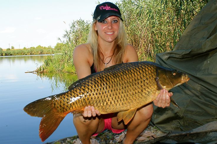 fishing_angling's tweet photo. Really big carp! https://t.co/0cIdbcWwXk