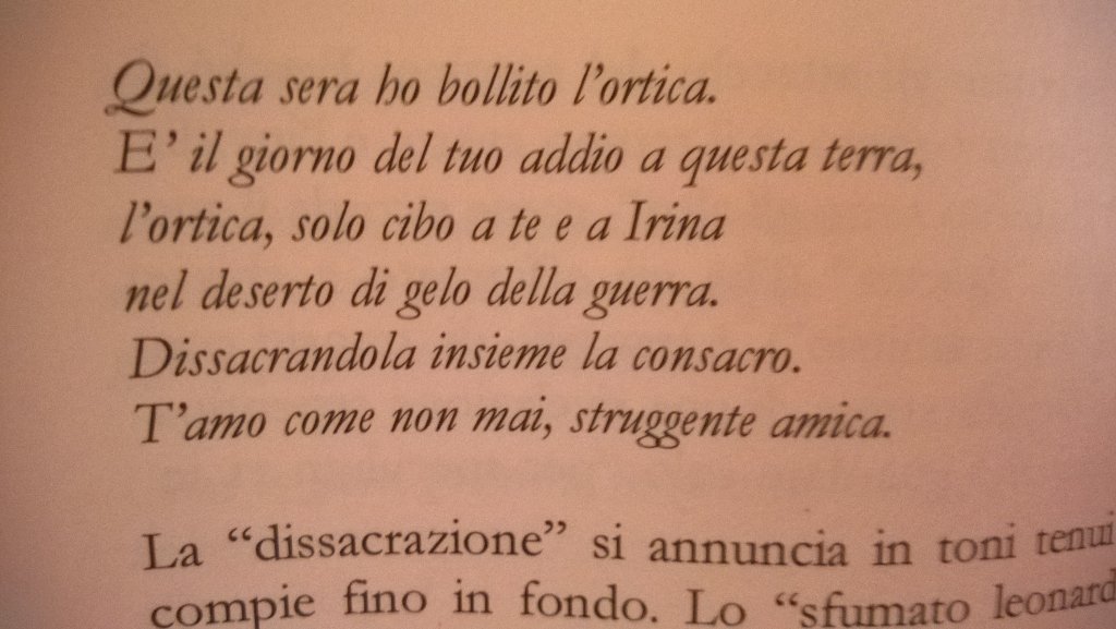 miregiuggi's tweet photo. #UniversoVersi
#MLSpaziani a #MarinaCvetaeva ❤ https://t.co/cMuj5OyGqF
