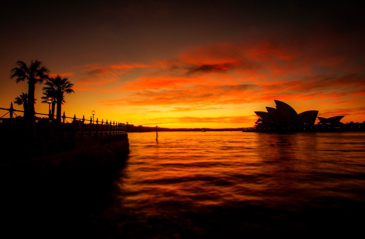 thomasmartinsyd's tweet photo. There's always a story. The sun coming up every day is a story. Change the story, change the world.
~Terry Pratchett https://t.co/pqYUomfwng