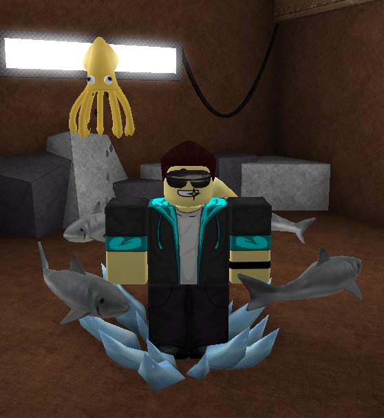 Roblox Cin