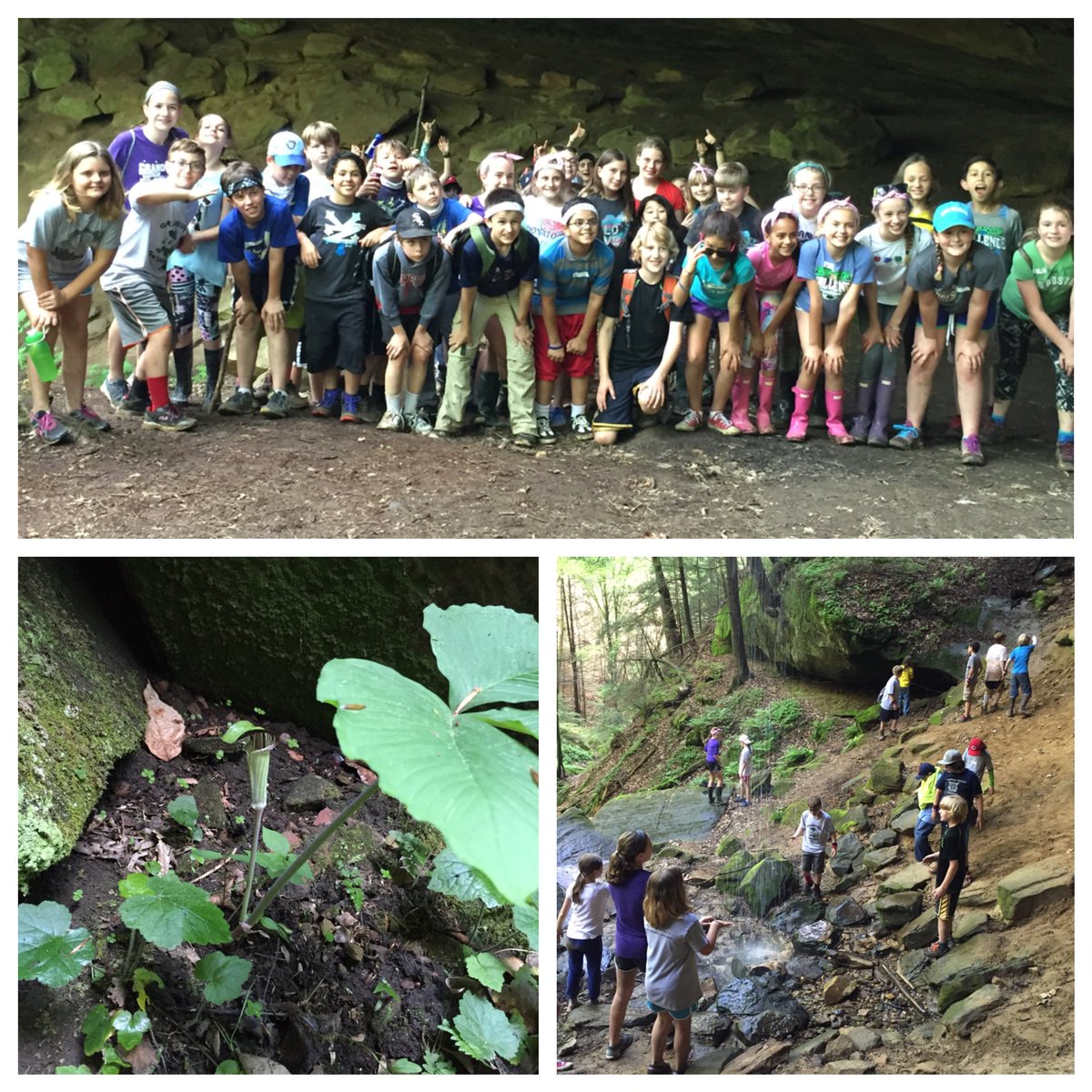 teacherwalker's tweet photo. #hiddencave #campotyokwa #GHSDreamBig @Math5MrsP @JRCallif https://t.co/T9kXmyImxF