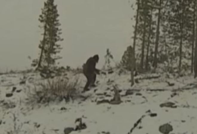 CryPtoReports's tweet photo. Bigfoot filmed on snowy bike trail video breakdown - https://t.co/RiK56TO0sM #bigfoot #sasquatch #cryptozoology https://t.co/5FCAFiXgl4