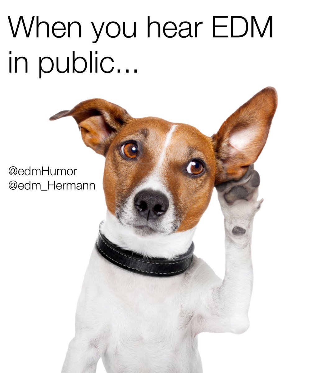 #edmHumor tweet media