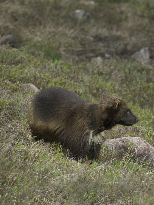 View image on Twitter View image on Twitter