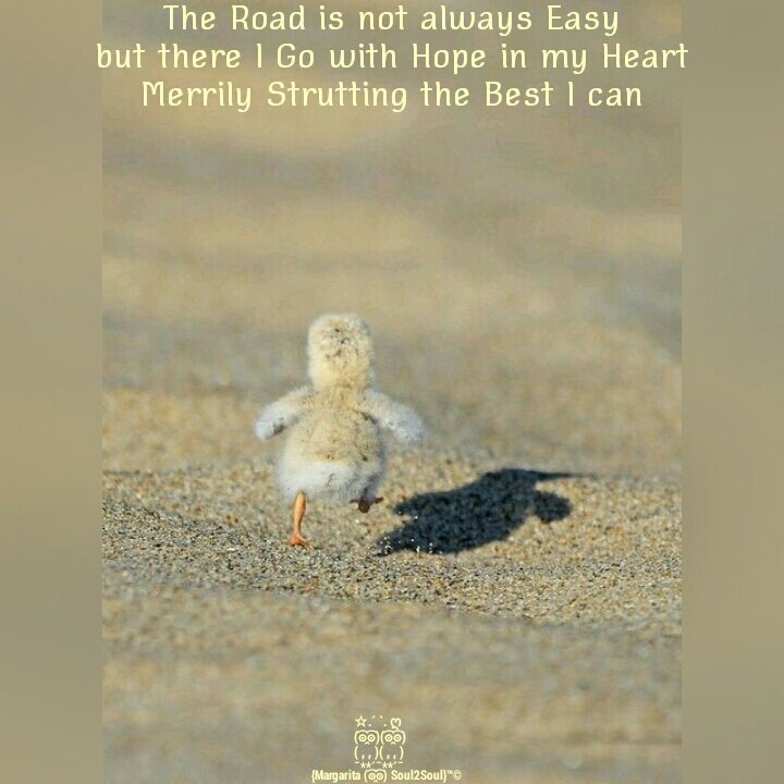 Soul2SoulBlog's tweet image. facebook.com/margarita.soul…