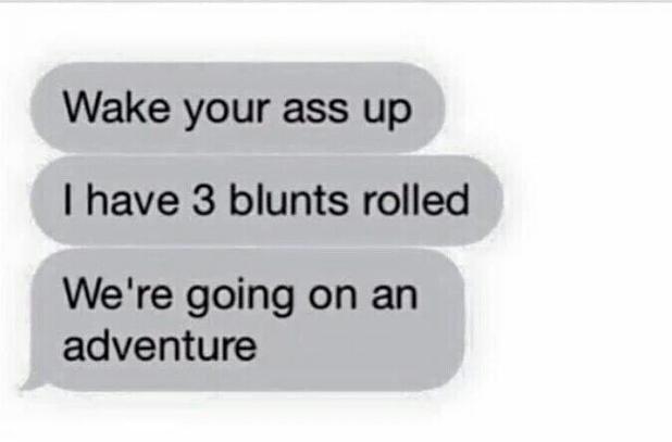 Skunkmagazine's tweet photo. I need more friends like this https://t.co/EYrU9igR9q