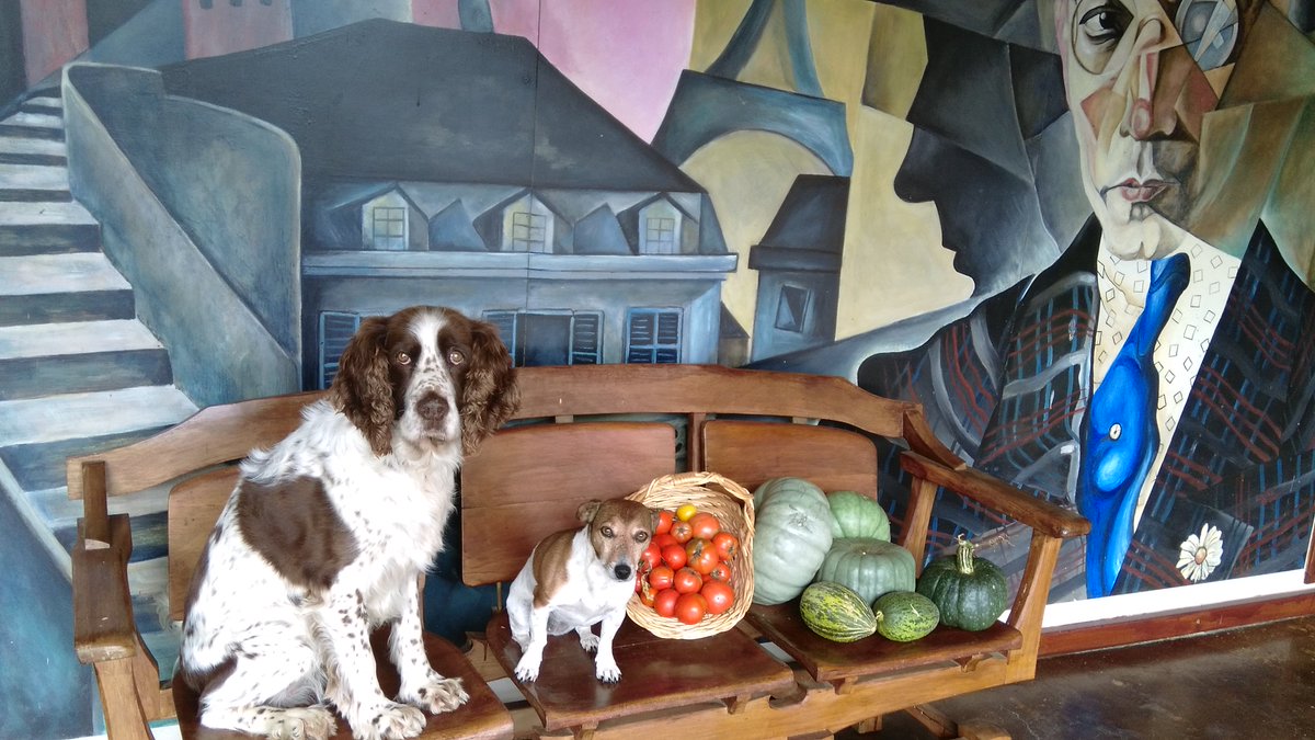 OtwayEscapes's tweet photo. Last of the tomatoes and pumpkins picked and of course the adorable helpers.
#organic #nature #otways https://t.co/8M1MhXHpx3