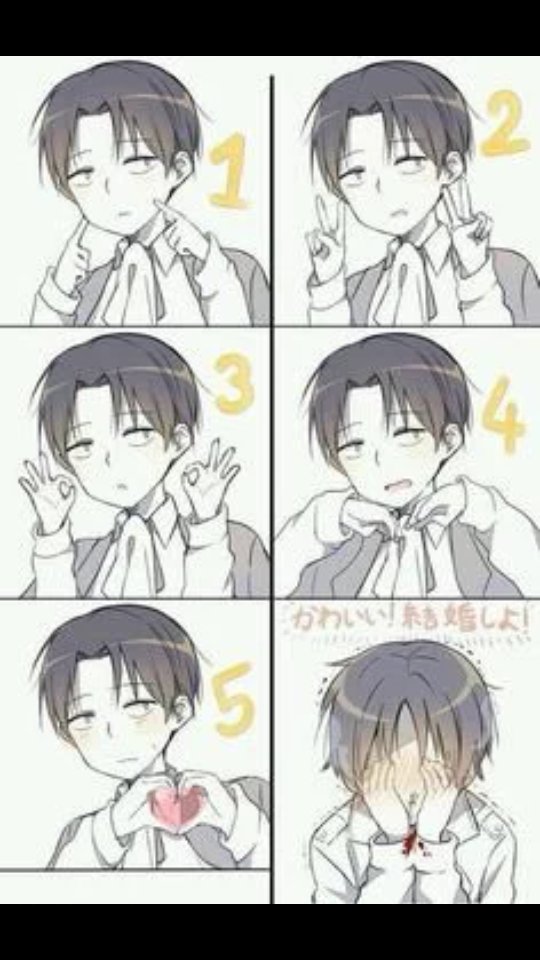 RavenAkerman's tweet image. To my love @levisbrat1