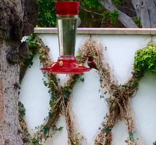 TheWeightSaint's tweet image. A little bird told me some people haven't exercised yet today!  Have you gotten in YOUR workout?