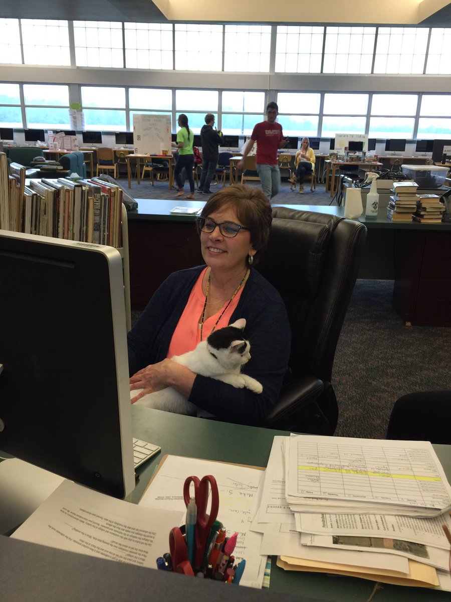 ReaderJones's tweet image. Not Cat in a Hat, but a cat in the library, visiting economics fair...very relaxed helper.  Now where is my book?