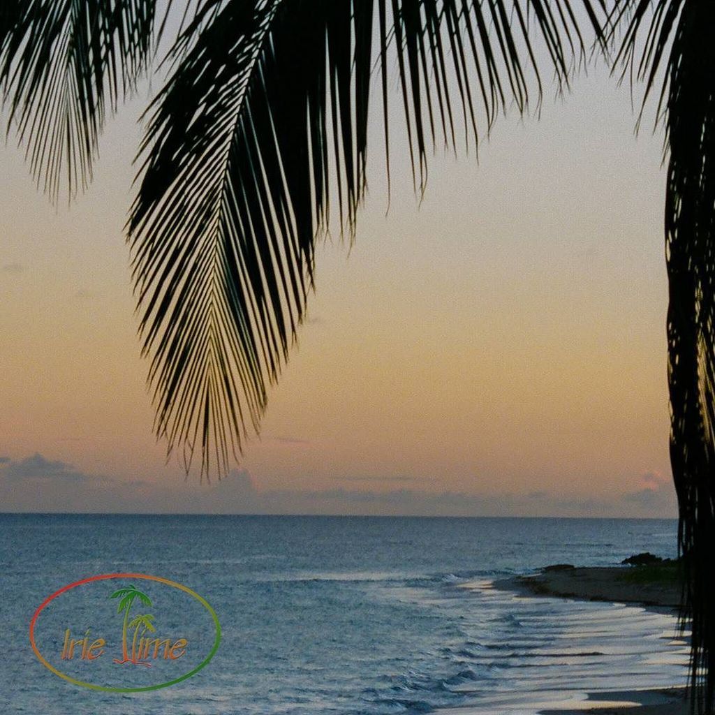 MyIrieTime's tweet photo. Love those sunsets! #Anguilla #AnguillaWeek #NeedSomeAnguilla #Caribbean https://t.co/nj98G1DQxX https://t.co/aoE5mwemLm