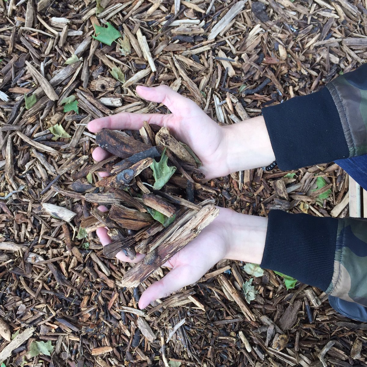 bryanmouque's tweet image. instagram.com/p/BFSWs8zmUK3/